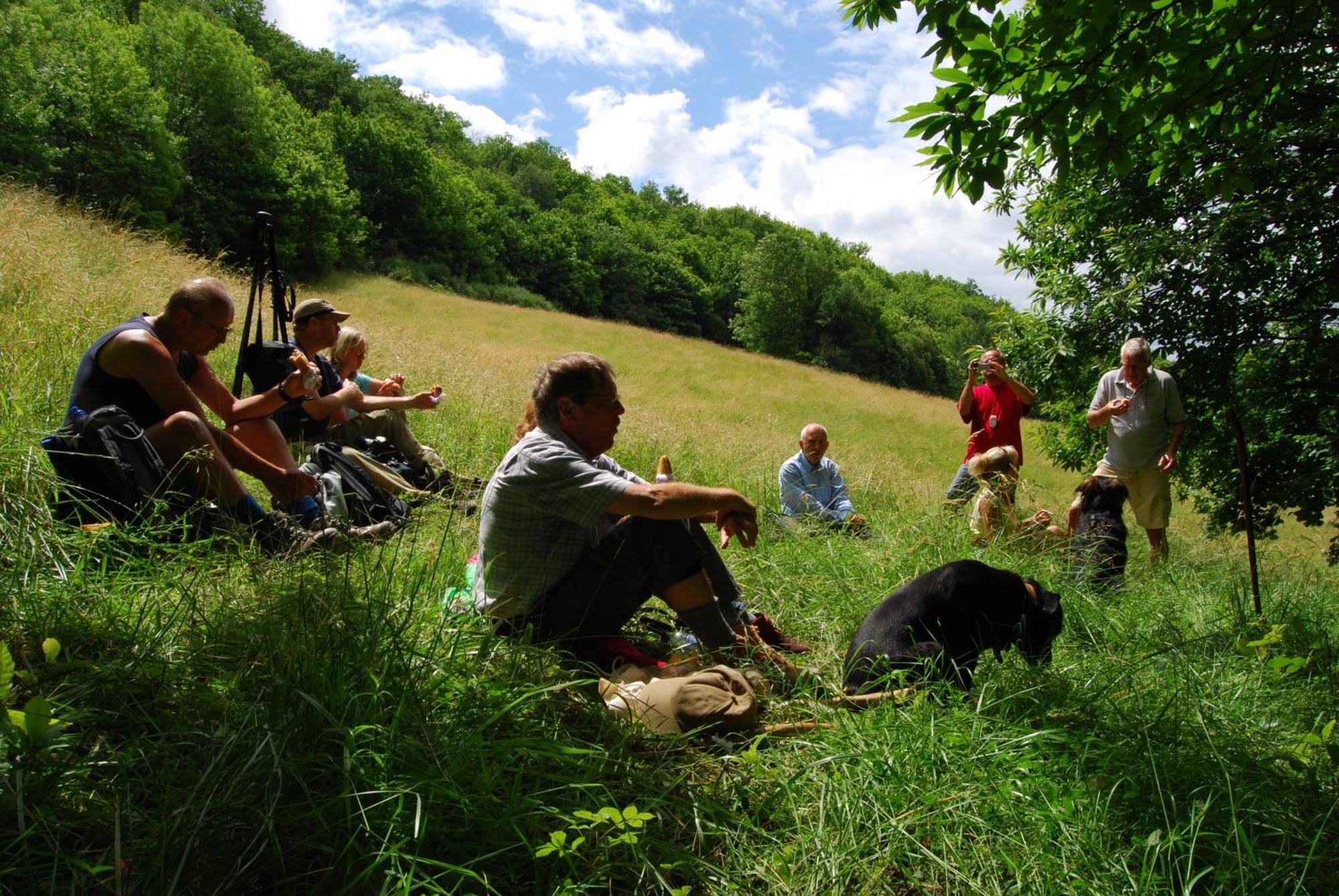 فندق Domaine La Libaudie La Bastide-Solages المظهر الخارجي الصورة